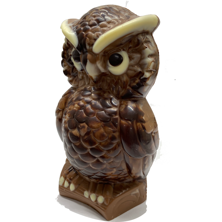 Large chocolate owl