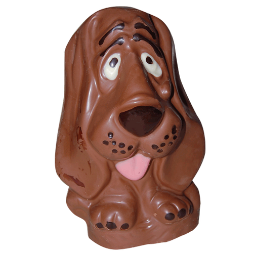Chocolate Basett Hound Dog