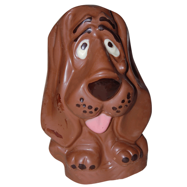 Chocolate Basett Hound Dog