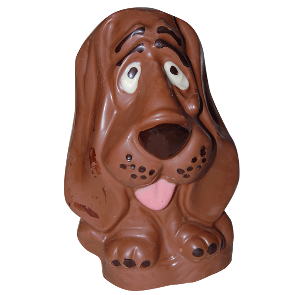 Chocolate basset deals hound